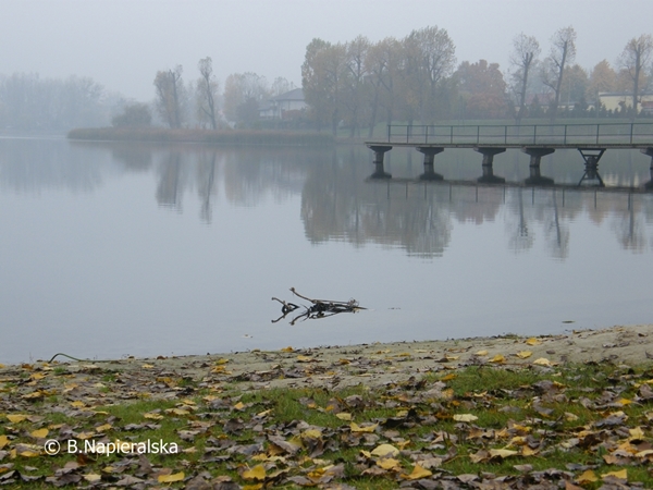 Miedzychód